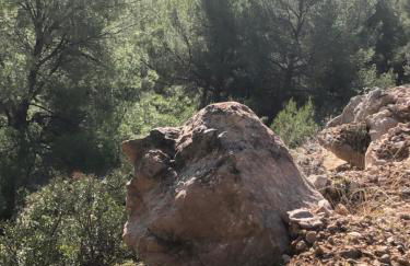 Tranquilité - Foto 33