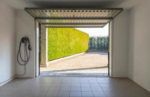 Agrifoglio - Foto 68