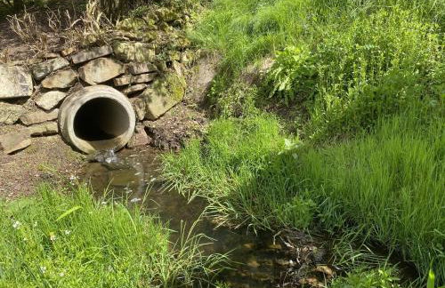 Ferienhaus Buren-Hof - Foto 39