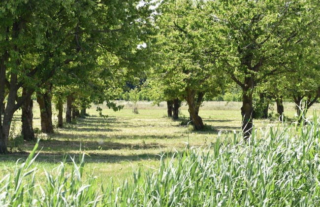 Villa in Bosrijk Near Horsterwold Forest - Photo 35