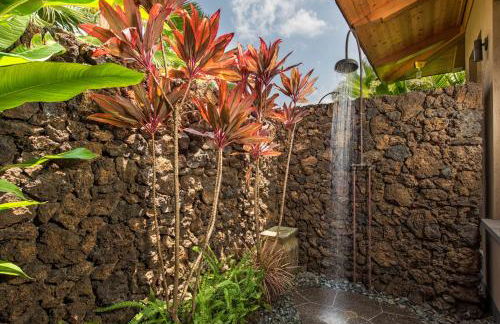 Hale Kahikole - Foto 41