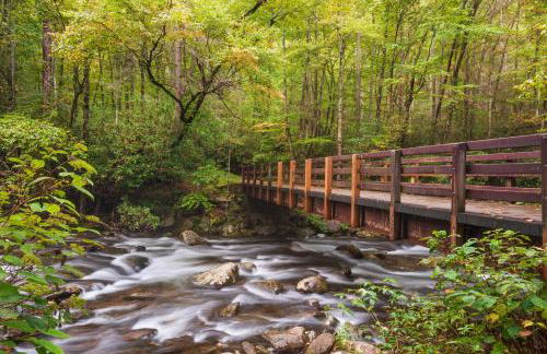 The Chalet At Greenbriar Creek - Pickleball Court, Creek, WIFI, Mountain Views, Starting at 79" - Photo 39