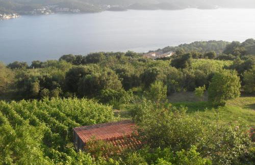 Apartment Bogoje - Photo 10