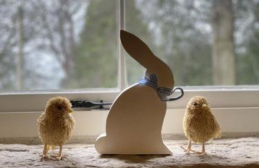 The Entire Coach House at Middleton Hall, Three Bedroom Holiday Home - Photo 4