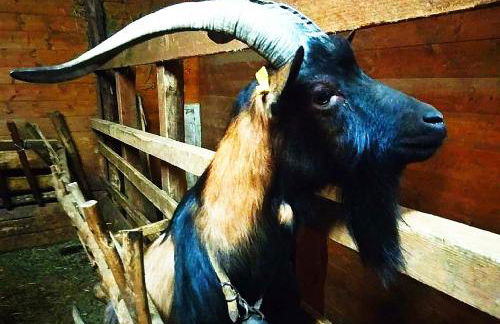 Agriturismo Paneolio - Foto 31