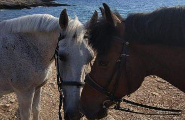 Apartman Gabrijela - Foto 27