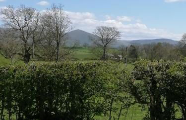 Lakes and Eden Valley. Thornhill Cabin - Foto 25