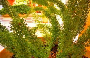 Villa Felice Marzamemi - Foto 17