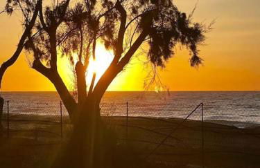 Lambou Beach Sunset - Foto 30