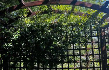 House in the Forest - Foto 8