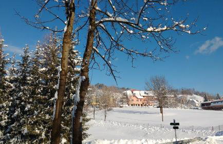 Apartament w Bieszczadach - Photo 61