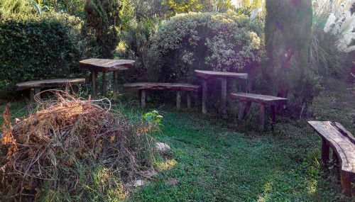 Apartment Olivo by Interhome - Foto 4