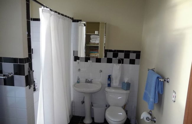 Bucktown, Urban Luxury and Convenience, Near L Train Stop at Western - Foto 18