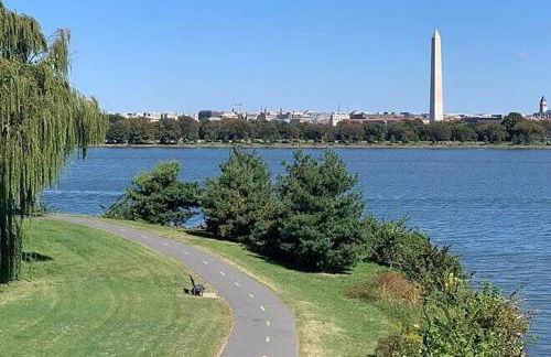 ALX Cape Cod 3-BR Near Old Town & Mount Vernon - Foto 34