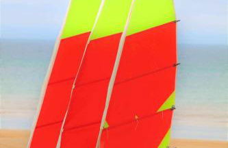 "O'Dbark" - duplex 2 étoiles - à 100m de la plage avec jardin - Photo 41