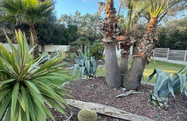 Le Chai de l'Océan - Villa Soulacaise plage à 100m Piscine Jardin 1400m2 - Foto 53