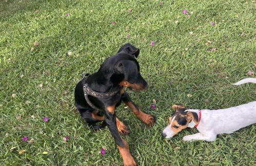 Casa de la Luna - Foto 44