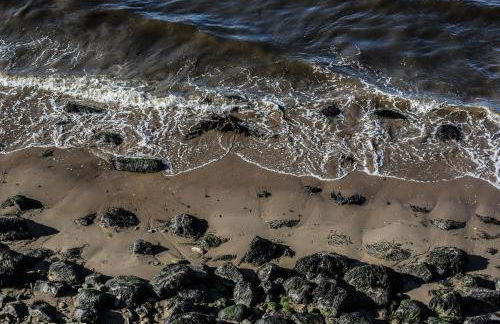 Ark at Anchor - Foto 49