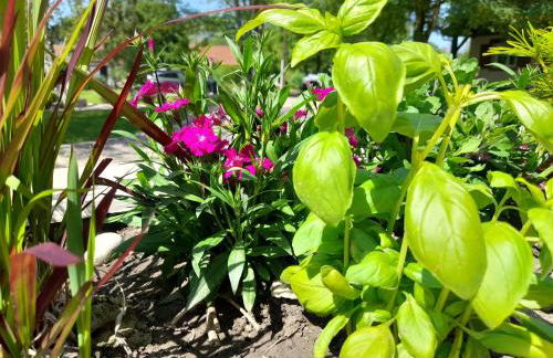 Domaine de l'Ermitage - Foto 77