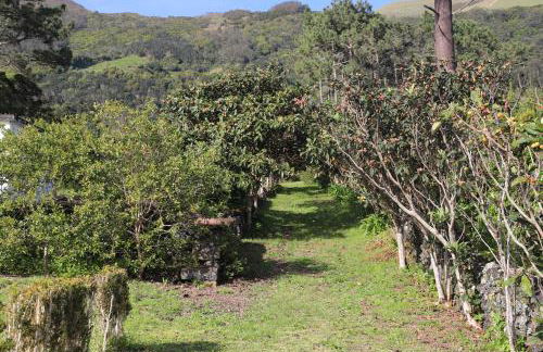 Mar D'Abstração - Photo 4