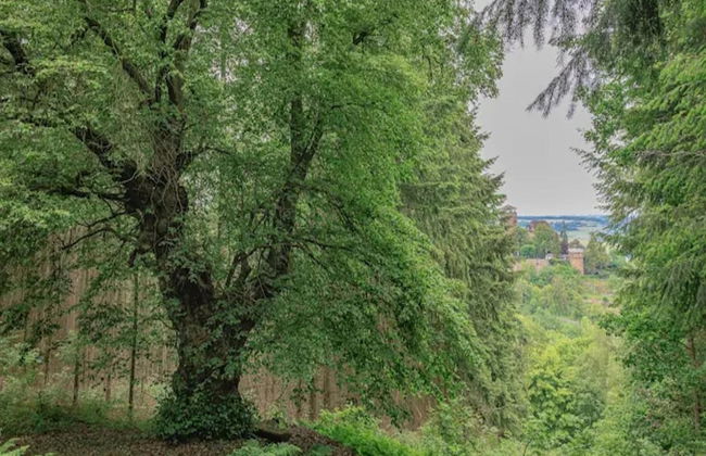 Ferienwohnung mit Garten auf dem Bauernhof - Foto 21