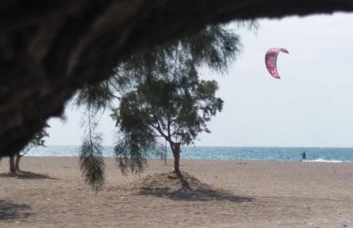 Stan&Family - Foto 62