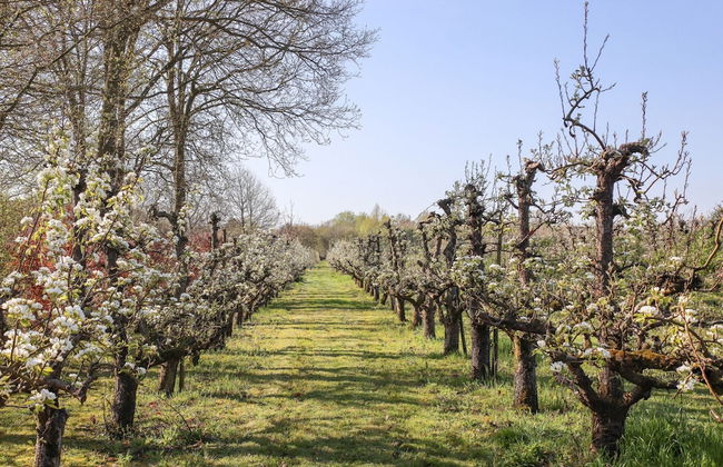 Nature House With two Bedrooms and two Bathrooms - Foto 33