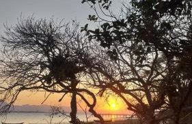 Piaça House - Piaçaguera -Pr - Foto 51