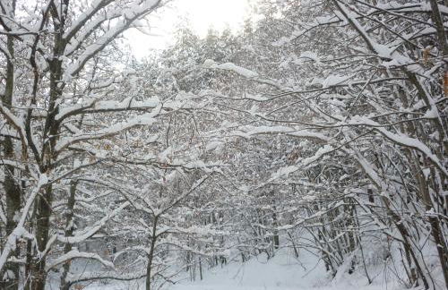 Casa Sperandini - Foto 38