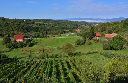 Vila Brloska - Foto 16