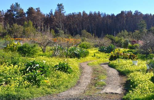 Casa Rural La Gustoza - Foto 17