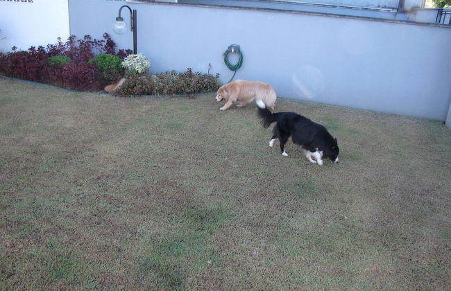 Casa Confortável 02 - Foto 21