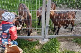 Ferien-/Monteurwohnung im Odw. - Photo 21