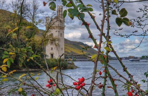 Ferienwohnung Rheinblick - Foto 18