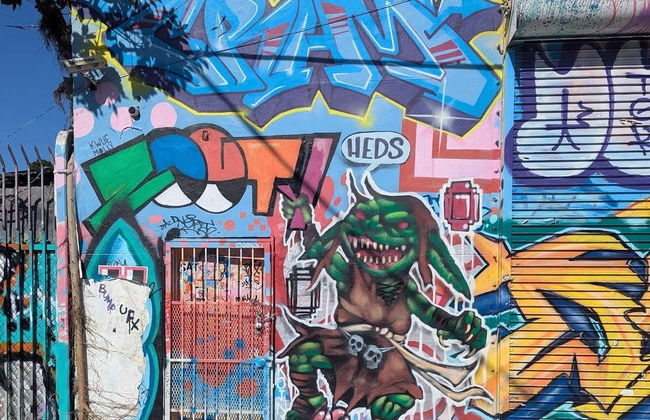 Tour por Wynwood - Foto 3