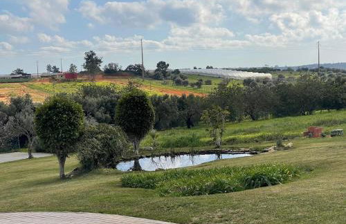 Moradia luxo - Foto 15