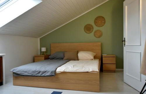 Neu renoviertes Apartment mit Rheinblick - Foto 29