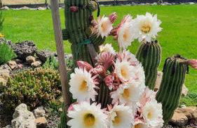 Il Casale di Lucullo - Foto 50