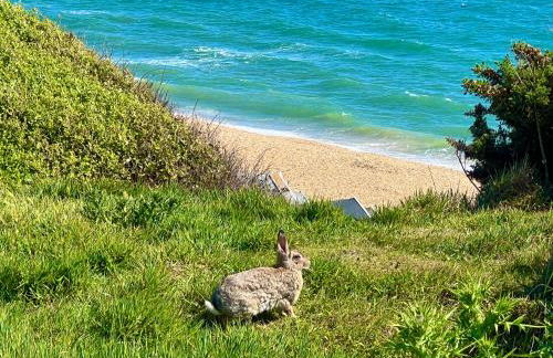 Jungle lodge - Photo 50