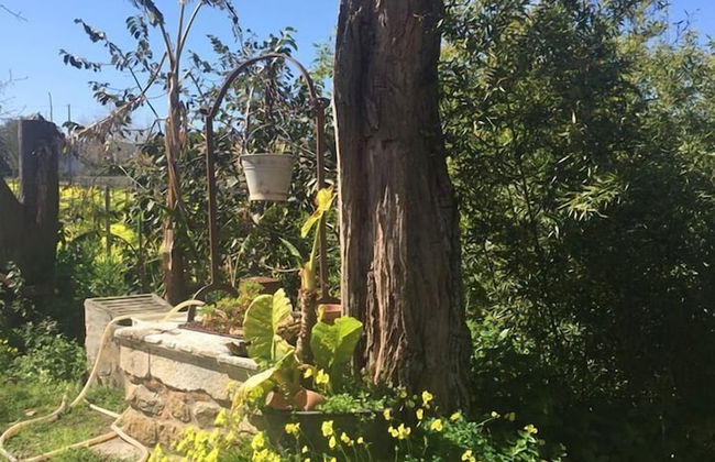 Villa Nicetta - Foto 14