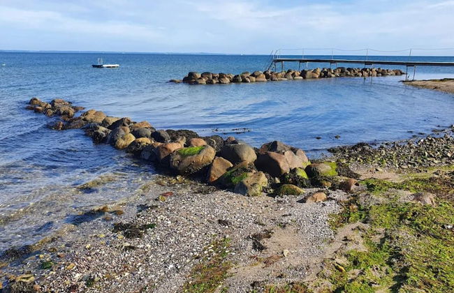 6 Person Holiday Home in Brenderup Fyn - Photo 47