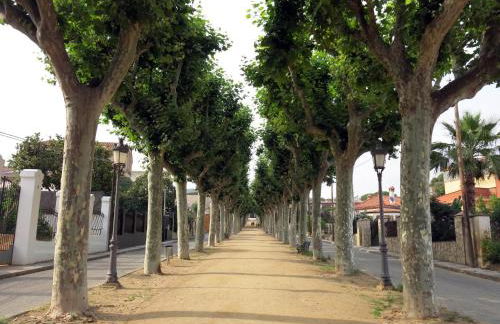 Apartment Beach Front Canet - Foto 38