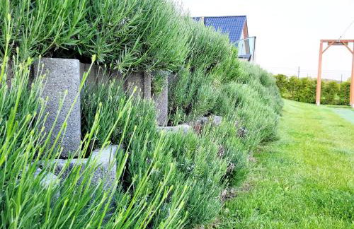 Domek wakacyjny, nad morzem z balią, Lawendowe Wzgórze, - Foto 50