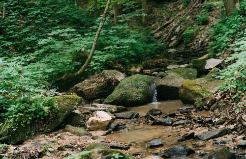 Creekside Oasis! - Foto 47