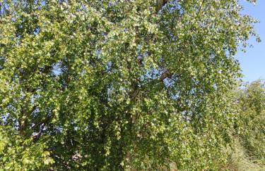 Maison VUE MER 50m PLAGE de TRESTEL GR34 entre Perros Guirec côte de granit rose et l'île de Bréhat - Foto 51