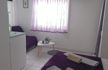 Sobe Stanković - Foto 6