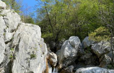 APARTMANI 4 PALME - Foto 56