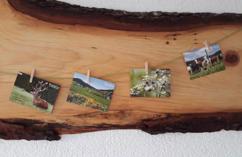 Isoldes Landhaus - Foto 31