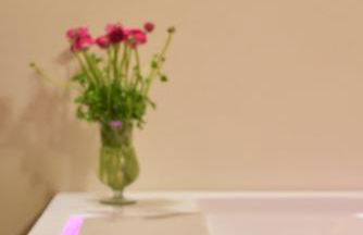 Podere di Moiata - Foto 38