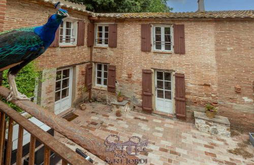 Mas Sant Jordi - Foto 35